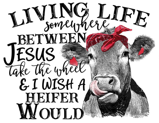Living life somewhere between Jesus take the wheel and I wish a heifer would